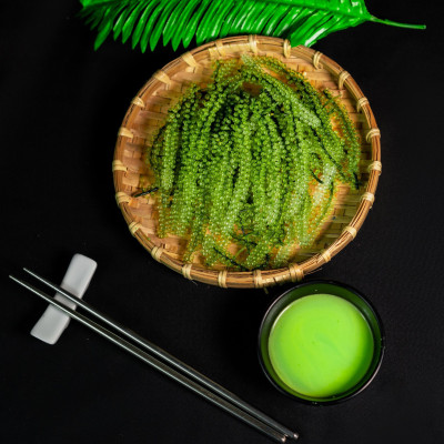 Rong Nho Trường Thọ - Số 1 Amazon Hoa Kỳ -  Hộp 40g