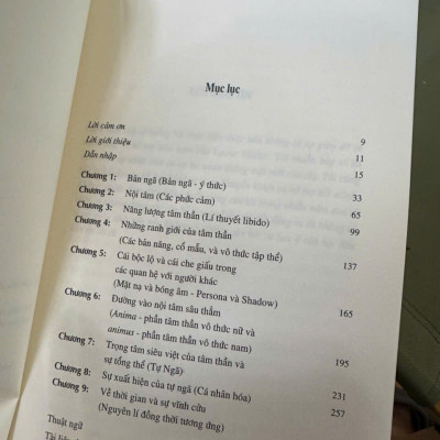 BẢN ĐỒ TÂM HỒN CON NGƯỜI CỦA JUNG - Khám Phá Thế Giới Nội Tâm Qua Lăng Kính Của C.G. Jung – Murray Stein – Alphabooks – NXB Tri Thức