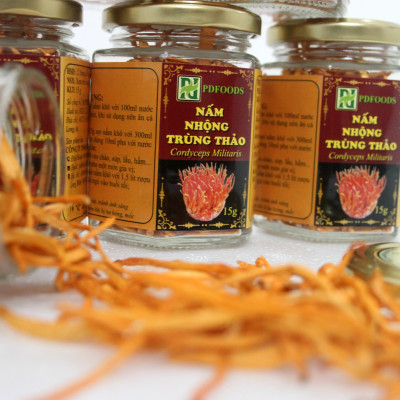 Nấm nhộng trùng thảo khô 15g PDFOODS_Cordyceps militaris