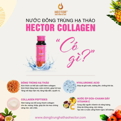 Combo 2 Hộp (20 Chai) Nước Đông Trùng Hạ Thảo Hector Collagen