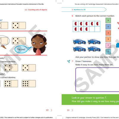 Cambridge Primary Mathematics Learner