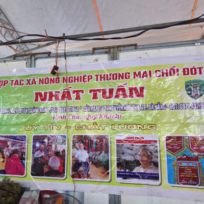 Chổi đót quét nhà, chổi chít  cán trúc rẻ bền đẹp Cao Cấp Đã Làm Sạch Bụi Bông Cỏ