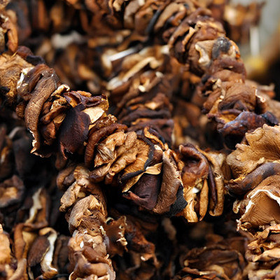 Nấm Hương Khô Na Rì Bắc Kạn Lý Tưởng 50g, Đặc Sản Na Rì Bắc Kạn, Thơm Ngon Tự Nhiên