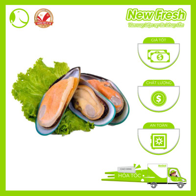 Vẹm Xanh Newzealand Talley - Hộp 1Kg (20-30 con)