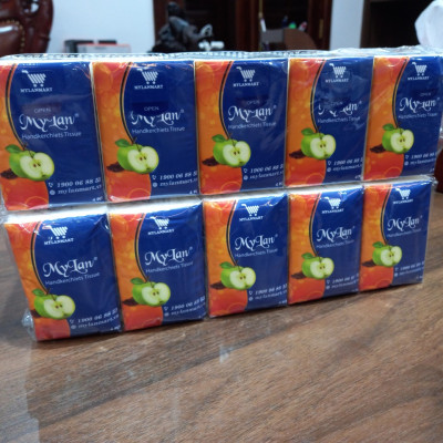 GIẤY BỎ TÚI MYLAN TÁO - the Rubee