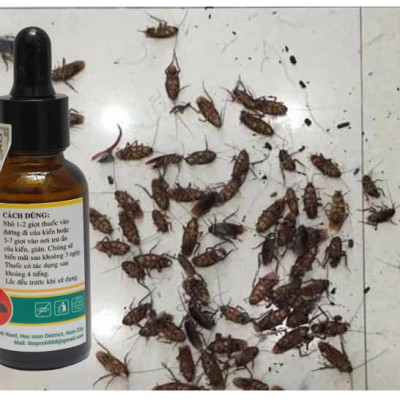 Thuốc diệt kiến gián sinh học Biopro Dạng đầu bóp tiện lợi Diệt tận gốc kiến đen, kiến lửa, kiến hôi, kiến gió, gián