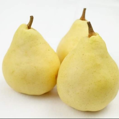 Nước Ép Lê Le Lectier 500ml