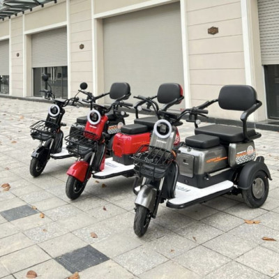 XE 3 BÁNH ĐIỆN VICTORY FLY