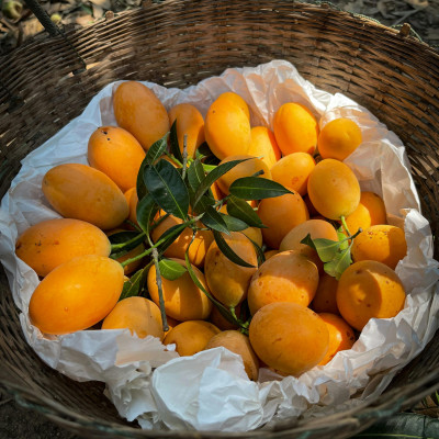 Xoài Sấy Dẻo DalatFarm - Túi 220g