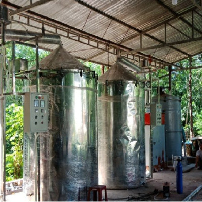 Tinh dầu Khuynh Diệp (bạch đàn) 10ml nguyên chất từ thiên nhiên - Mộc Mây