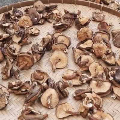 Nấm Hương Khô Na Rì Bắc Kạn Lý Tưởng 50g, Đặc Sản Na Rì Bắc Kạn, Thơm Ngon Tự Nhiên