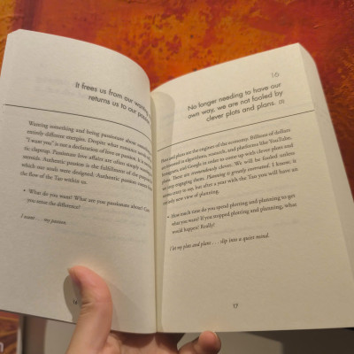 Sách - The Daily Tao: 365 Meditations on the Tao Te Ching (Day by Day Series) by William Martin