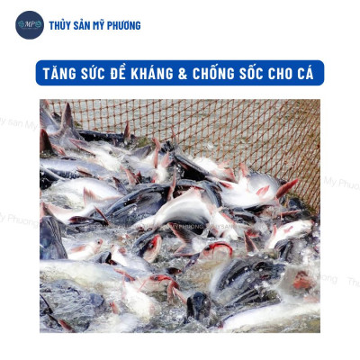 Chống sốc bổ sung vitamin điện giải khoáng Vitalec Fish Plus tăng sức đề kháng khỏe cho tôm thẻ cá lươn ếch ốc ba ba