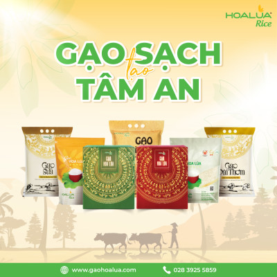 Gạo Gia Đình - Túi 5kg - Dẻo Vừa, Tơi Cơm, Thơm Nhẹ