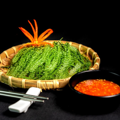 Rong Nho Trường Thọ - Số 1 Amazon Hoa Kỳ -  Hộp 40g