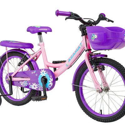 Xe đạp trẻ em Asama KZB-1801