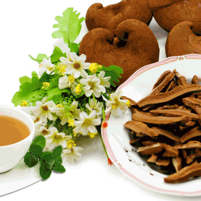 Nấm Linh Chi Khô Thái Lát Lý Tưởng 50g, Thái Lát Tiện Lợi, Thương Hiệu Lý Tưởng