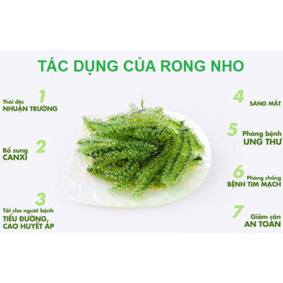 30g Rong Nho Tách Nước- Giàu Dinh Dưỡng