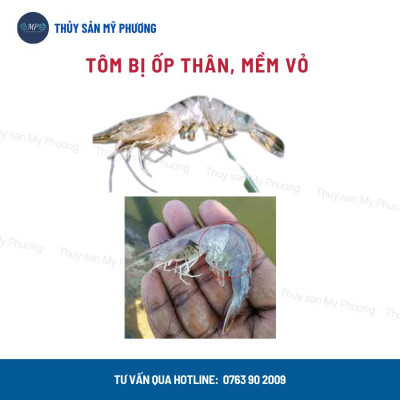 Vitamin khoáng trộn điện giải chống sốc Hado b.Complex tăng trọng giúp tăng cơ chống mòn vỏ cho tôm thẻ cá lươn ếch ốc b