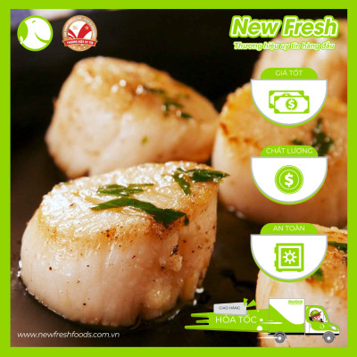 [GIAO NHANH HCM] Cồi Sò Điệp Việt Nam - Túi 500Gr (20-40 Con)