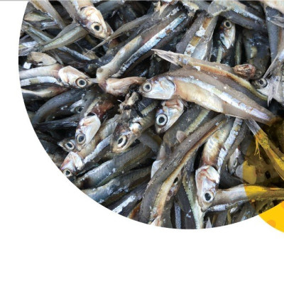 Combo Tết 3 Hộp Nước Mắm Cốt Phú Quốc - Quốc Vị Độ Đạm 40N Chai Thủy Tinh 520ml, 250ml, 60ml Cá Cơm