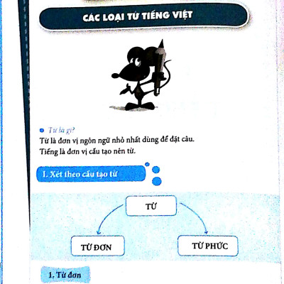 Làm Chủ Kiến Thức Ngữ Văn 9 - Luyện Thi Vào 10 Phần 2: Tiếng Việt - Tập Làm Văn