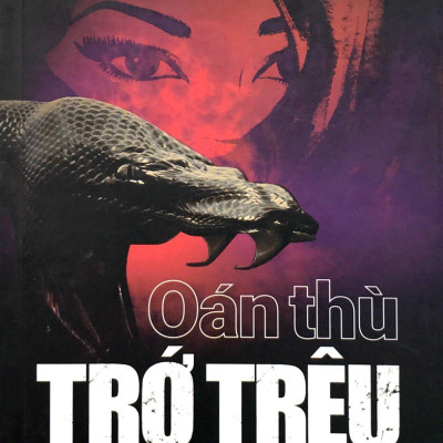 Oán Thù Trớ Trêu