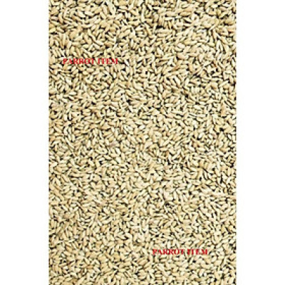 LÚA TIÊU RUỘT ĐỎ (THỨC ĂN YÊU THÍCH CỦA BỒ CÂU, CU GÁY)