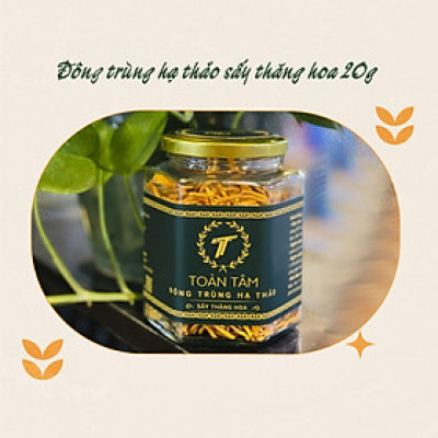 ĐÔNG TRÙNG HẠ THẢO SẤY THĂNG HOA (SẤY LẠNH) TOÀN TÂM 