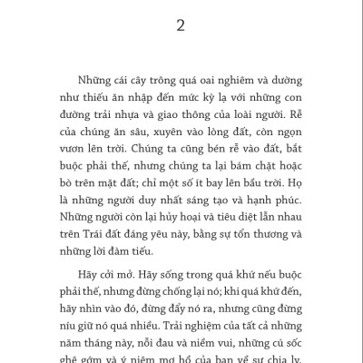 Hạnh Phúc Tuổi Trẻ - Trưởng Thành Bằng Yêu Thương