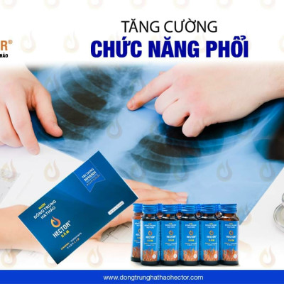Nước Đông Trùng Hạ Thảo Hector Sâm, Uống Trực Tiếp, Giúp Tăng Sức Đề Kháng, Tăng Cường Sinh Lý Nam Nữ, Tăng Tiết Sữa Cho Mẹ, Bảo Vệ Chức Năng Gan Thận, Giảm SAy Tàu Xe, Nam, Nữ, Người Lớn Tuổi Đều Dùng Được.