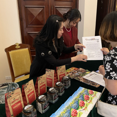 Combo 1 Hũ Mật Ong Cà Phê Jade Mountain Kết Tinh Tự Nhiên 380ml Và 1 Mật Ong Bánh Tổ Jade Mountain 500gr Nguyên Miếng Ngọt Nhẹ