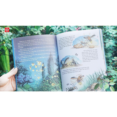 Sách - Truyện Tranh Khoa Học Về Các Loài Côn Trùng - Đinh Tị Books