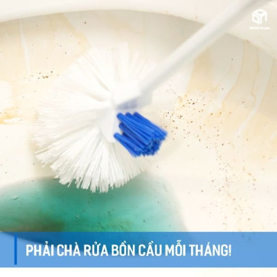 Bộ 8 Vỉ (16 Viên) Vệ Sinh Khử Mùi Bồn Cầu Homes Queen Hàn Quốc (2 viên/vỉ x 40 g/viên). Hàng cao cấp chính hãng - 1 viên sử dụng được tới 1 tháng rưỡi