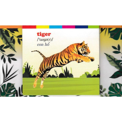 Sách - Bộ Thẻ Học Tiếng Anh - Phát Triển Trí Tuệ Cho Trẻ - Động Vật Hoang Dã - Hồng Ân