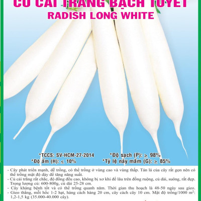 Hạt giống củ cải Trắng cao sản VTS20