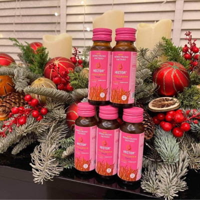 Combo 6 Hộp (60 Chai) Nước Đông Trùng Hạ Thảo Hector Collagen (Tiết kiệm 180k)
