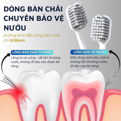 Bộ 2 bàn chải đánh răng Raoyi R7688 DandiHome chuyên bảo vệ nướu