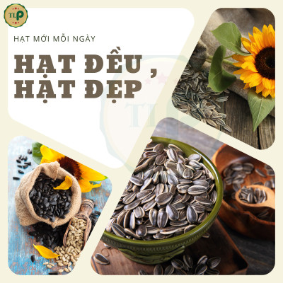 HẠT HƯỚNG DƯƠNG CHẮC HẠT BỔ DƯỠNG TÂN LỘC PHÁT