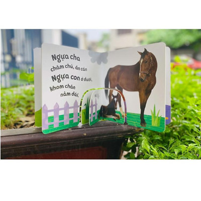 Sách To Ôm Sách Nhỏ