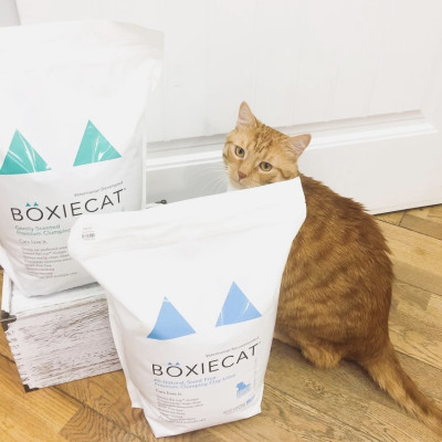 ￼[7.26kg] Cát vệ sinh Boxiecat hương tự nhiên không bụi 99.99% sản xuất tại Mỹ