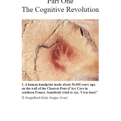 Sapiens : A Brief History of Humankind (Paperback)