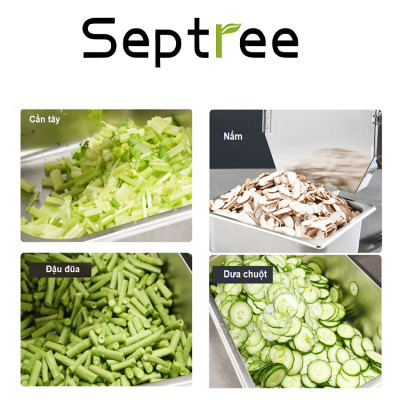 Máy thái rau củ, quả đa năng chuyên nghiệp - Dòng công nghiệp. Thương hiệu Mỹ cao cấp Septree - F46. Hàng chính hãng