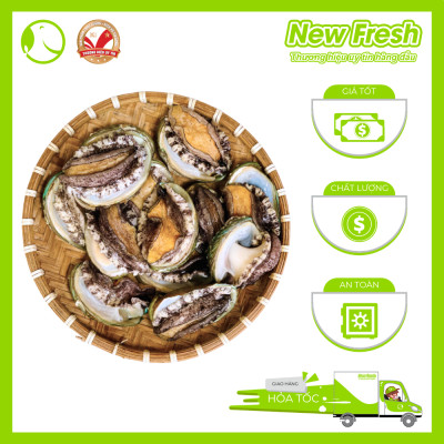 Bào Ngư Hàn Quốc Đông Lạnh - Túi 1Kg (10-12 con)