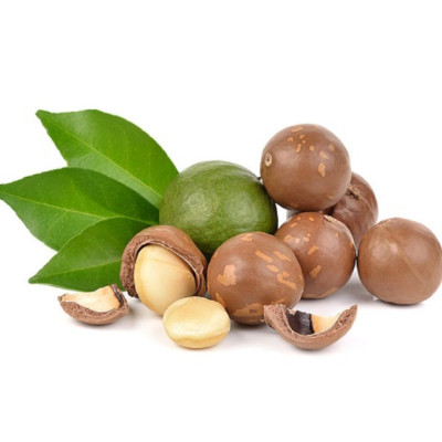 HẠT MACCA NỨT VỎ CAO CẤP TÂN LỘC PHÁT