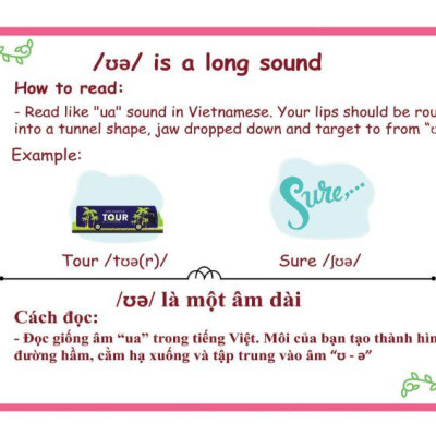 Sách Ngữ Âm Dành Cho Người Bắt Đầu (Kèm CD)