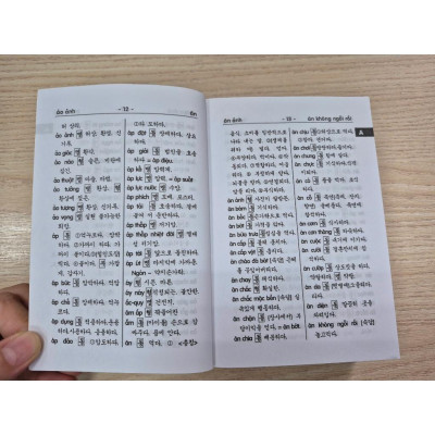 Sách - Từ Điển Việt - Hàn - Hồng Ân