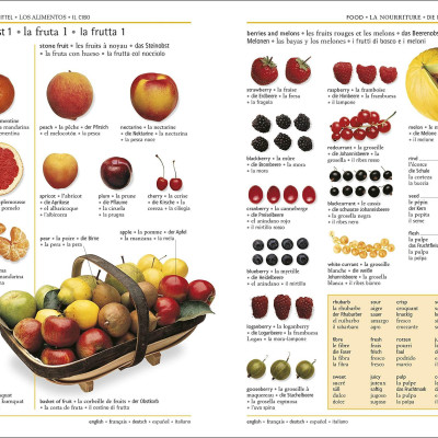 5 Language Visual Dictionary: Over 6,500 Illustrated Terms, Labelled In English, French, German, Spanish And Italian