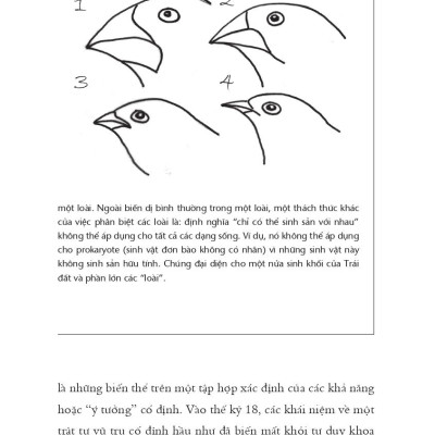 Não Bộ Không Ngừng Tiến Hóa: Trí Thông Minh Của Bạn Đến Từ Đâu? - Tặng Kèm Bookmark