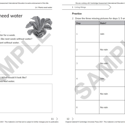 Cambridge Primary Science Workbook 1 With Digital Access (1 Year) 2nd Edition